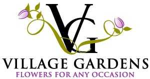 A Dozen Premium Red Roses Low To $99.95 At The Village Gardens Promo Codes